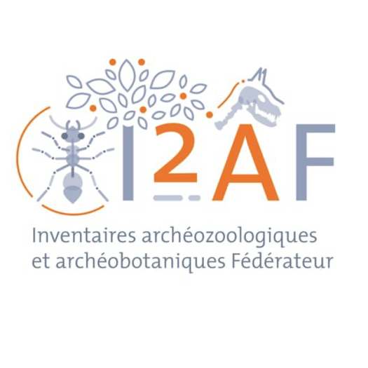 i2af 2024 carré